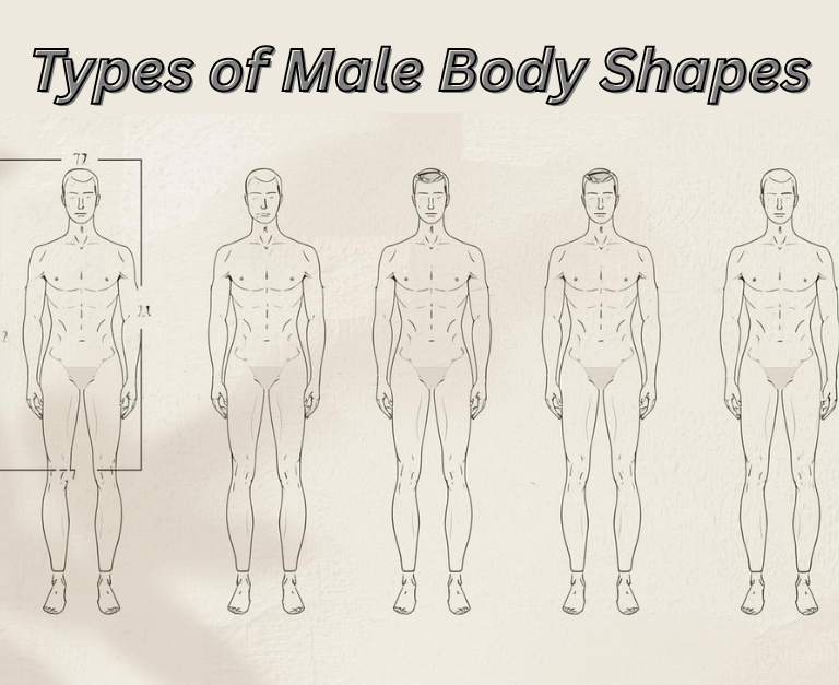 Illustration of five male body shapes—rectangle, triangle, inverted triangle, oval, and trapezoid—displayed in a clean fashion guide layout.